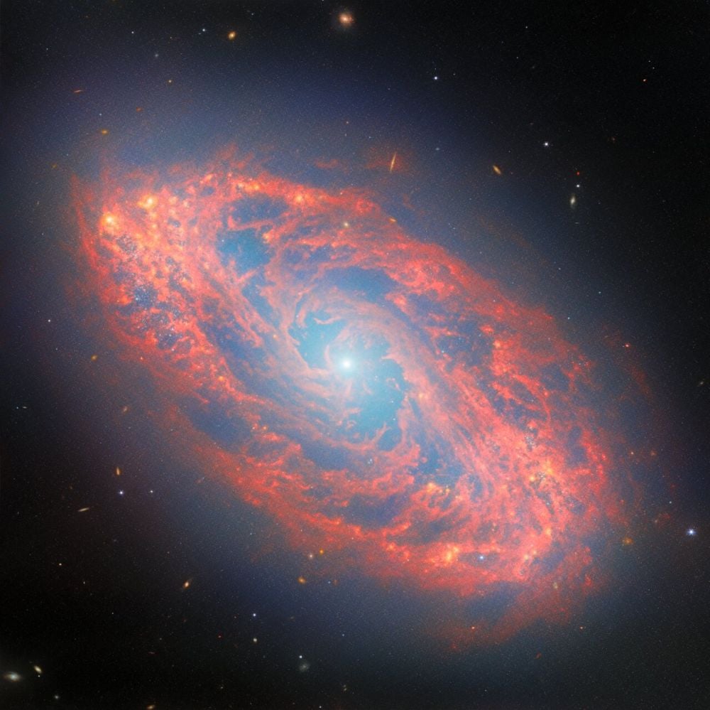 This is the spiral galaxy NGC 5134, captured by the JWST in both near-infrared and mid-infrared. Images of nearby spiral galaxies like this one are important for studying star formation. The image is the ESA's Picture of the Month. Image Credit: ESA/Webb, NASA &amp; CSA, A. Leroy