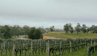 Australia needs a food security impact assessment