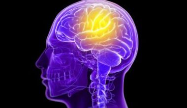 Broken waste-clearance in the brain may lead to psychosis • healthcare-in-europe.com