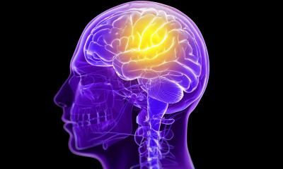 Broken waste-clearance in the brain may lead to psychosis • healthcare-in-europe.com