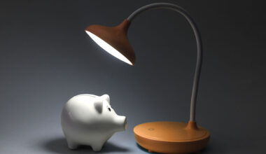 The housing crisis that Australia built