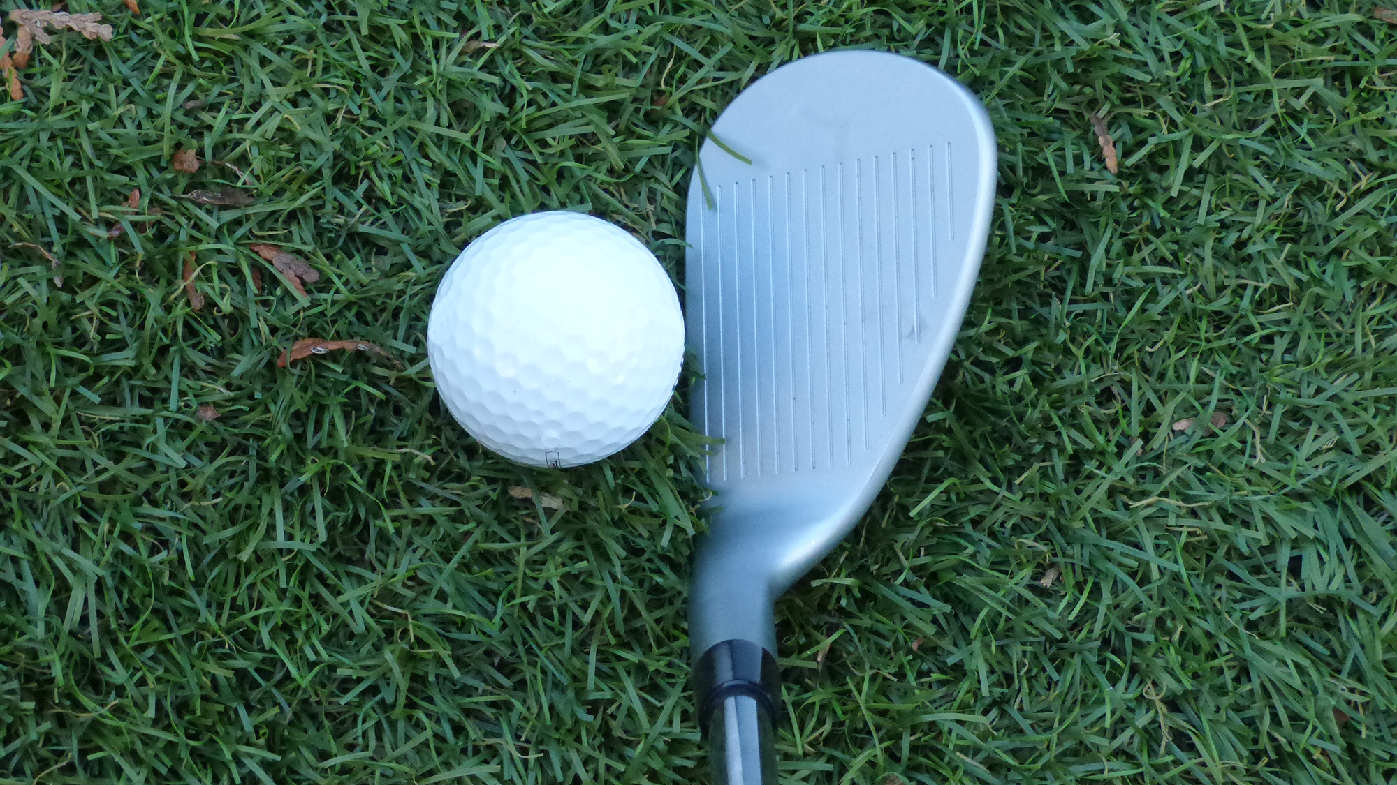 Vice Golf VGW02 Wedges