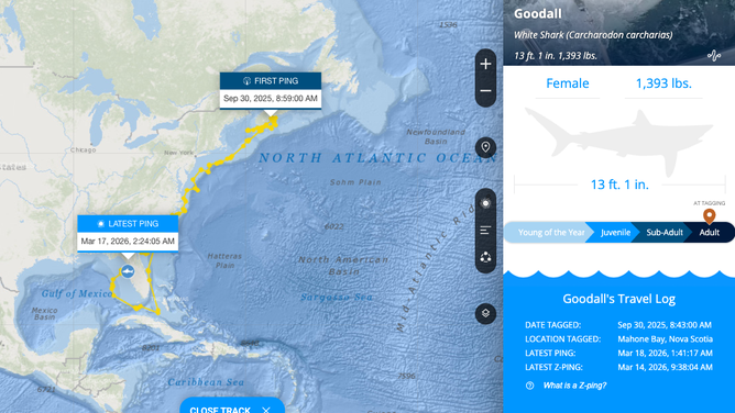 Goodall's travel log since Sept. 30, 2025.