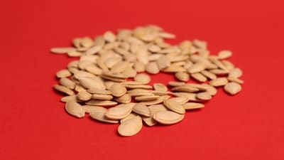 Read more to find out the best seeds for each phase in the menstrual cycle! (Unsplash)