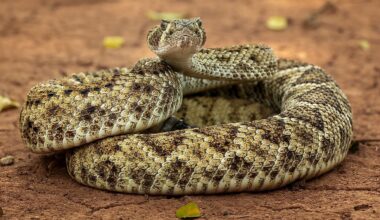 6 Snake Hotspots In The Pacific Northwest