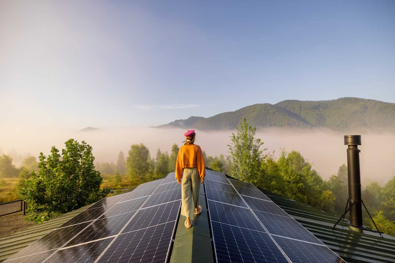 Amid an energy crisis, the renewables juggernaut gathers pace