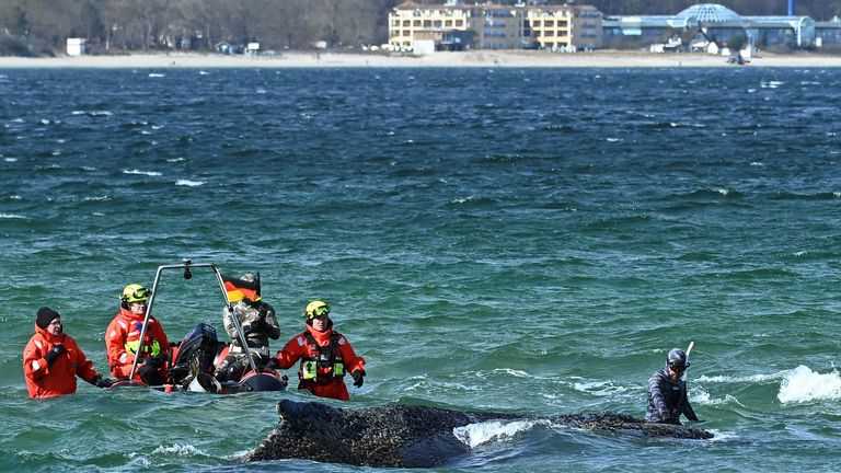 Pic: Reuters