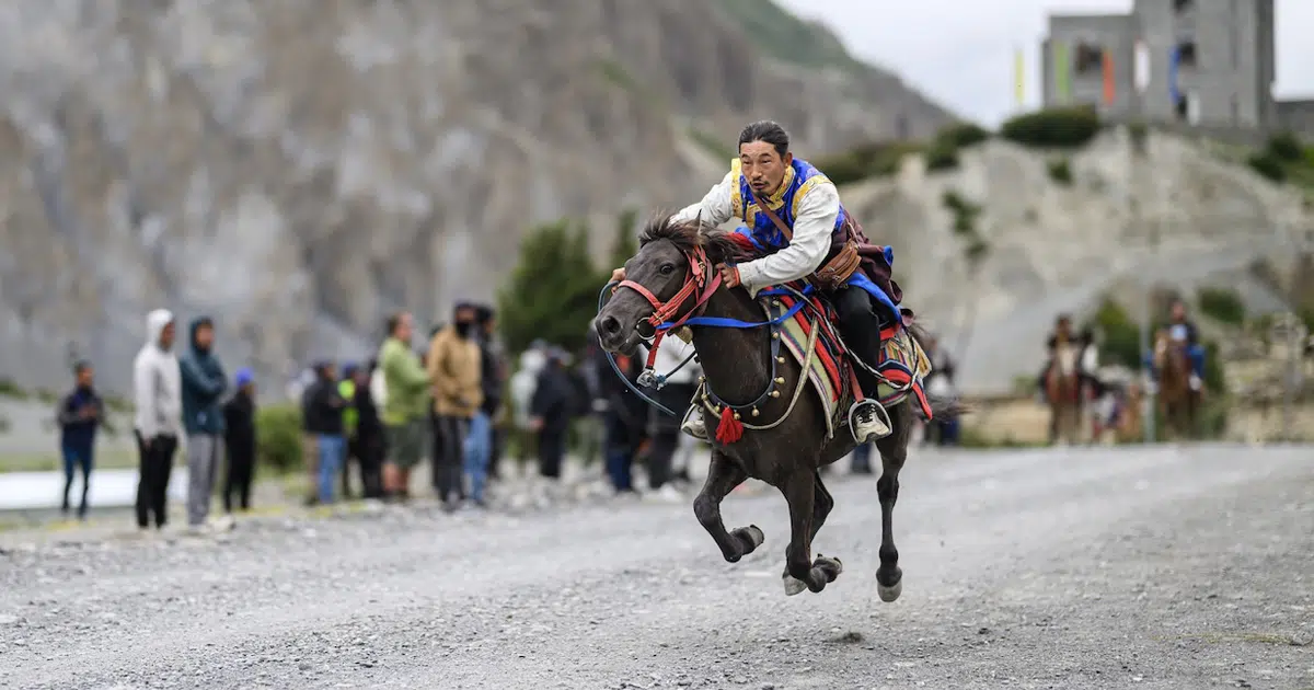 National Winners of the 2026 Sony World Photography Award