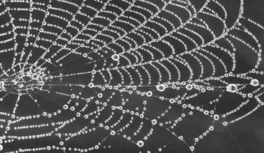 Google unleashes Gemini AI agents on the dark web • The Register