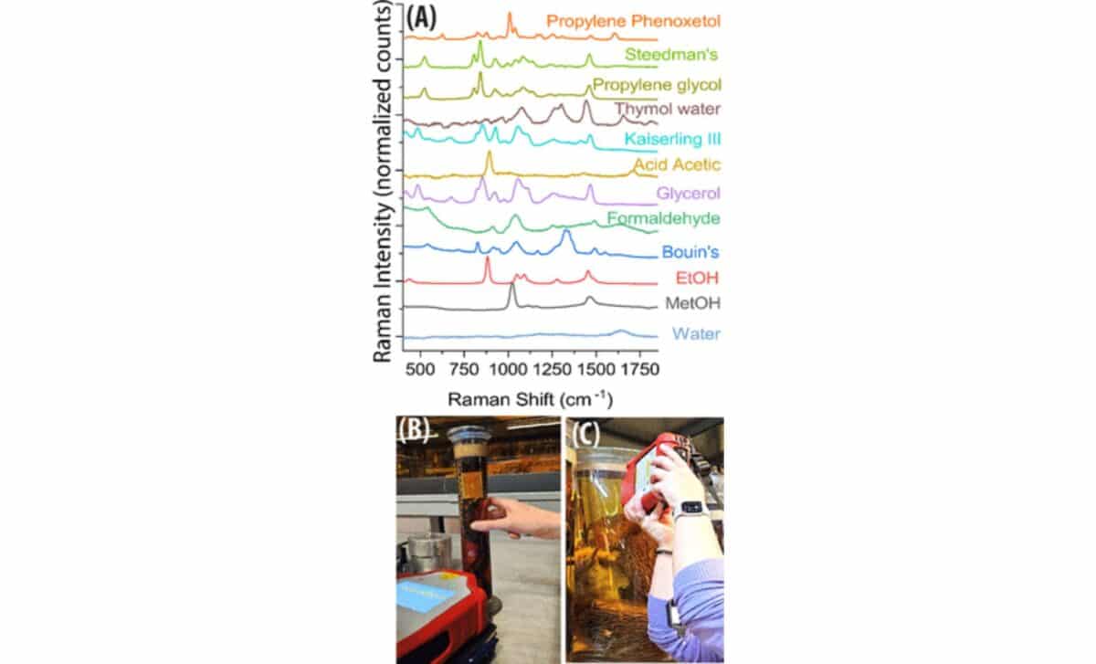 Standard Sors Spectra Of Calibration Fluids And The Resolve Device Used For In Situ Jar Measurements. ©acs Omega