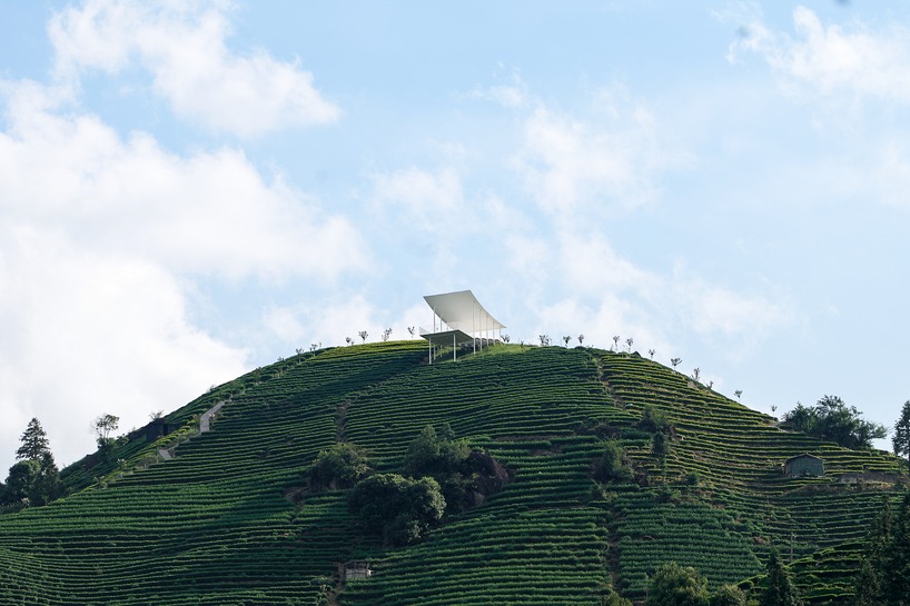 studio RE+N's floating pavilion hovers like a thin white wing above chinese tea mountain - 2
