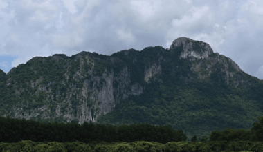 Rare New Species Found During Night Surveys in Thailand