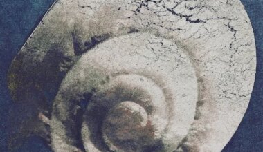 Album Review: Snail Mail - 'Ricochet' — When The Horn Blows