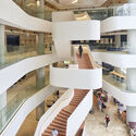 UNSW Health Translation Hub / Architectus - Image 2 of 39