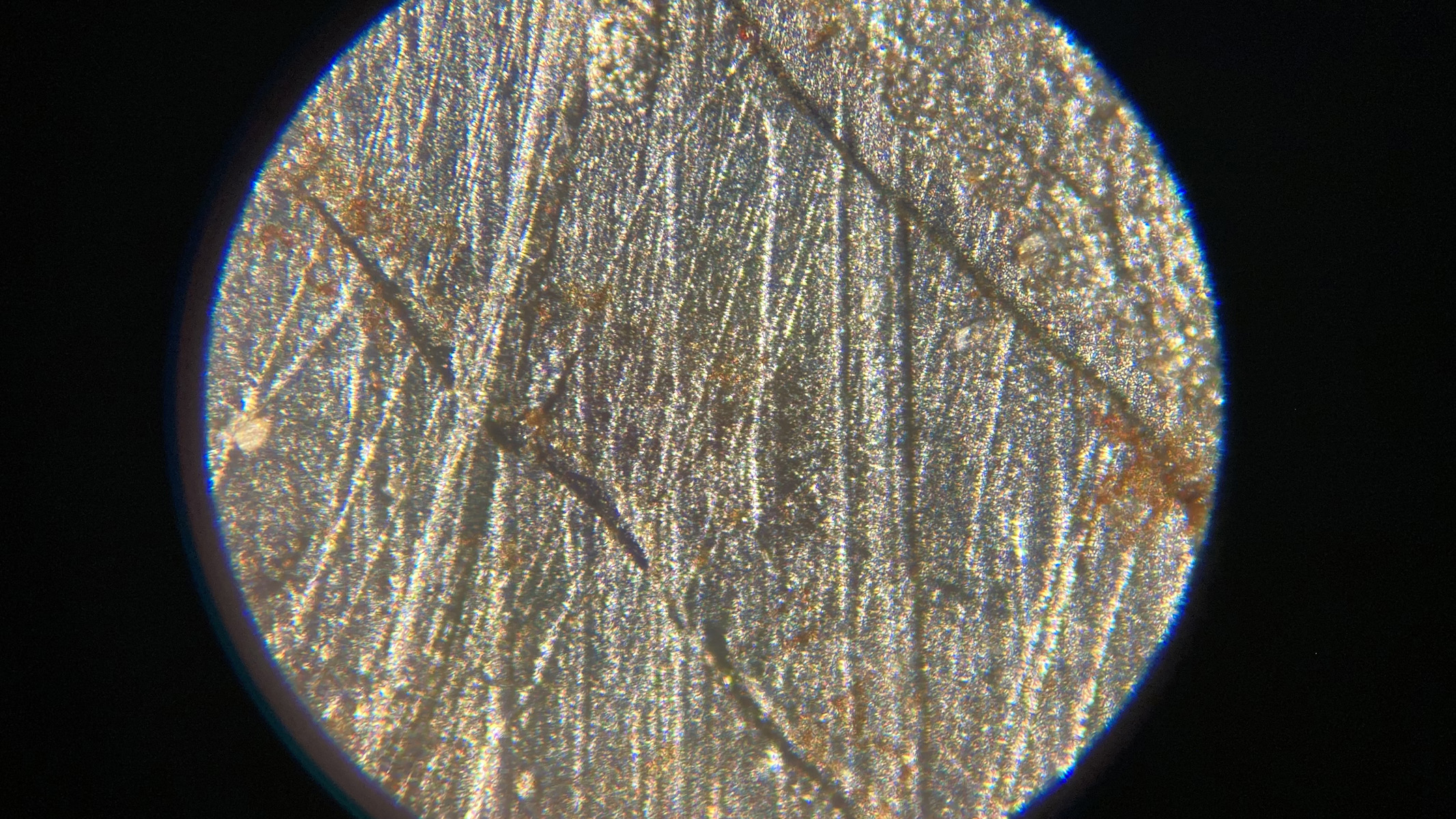 The Widmanst&auml;tten pattern on the Muonionalusta meteorite, under a meteorite, with lines across it.