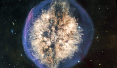 A dying star known as the Exposed Cranium Nebula, or PMR 1, as seen by the James Webb Space Telescope