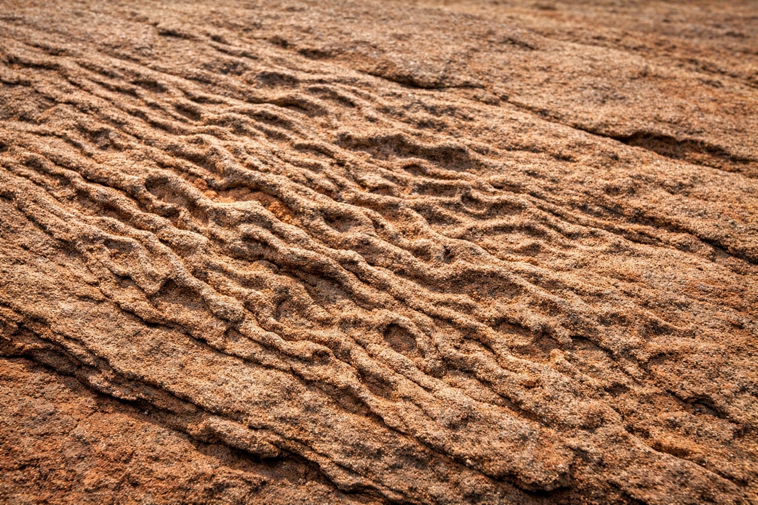 Deep-sea wrinkle structures reveal ancient microbial life