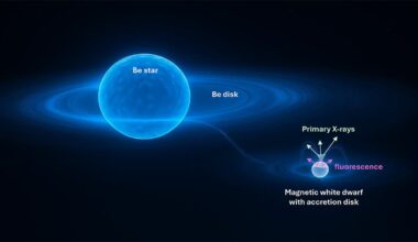 Brighter Side of News