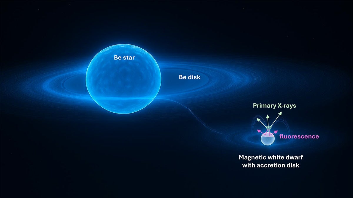 Brighter Side of News