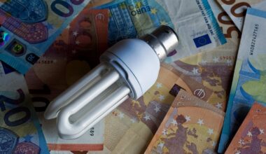 Irish electricity prices 8th highest in Europe in 2024