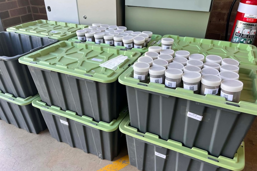 Boxes of soil samples in a warehouse.