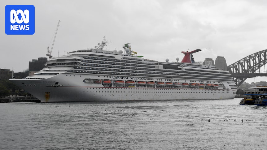 Search underway for man missing from cruise ship off Brisbane coast