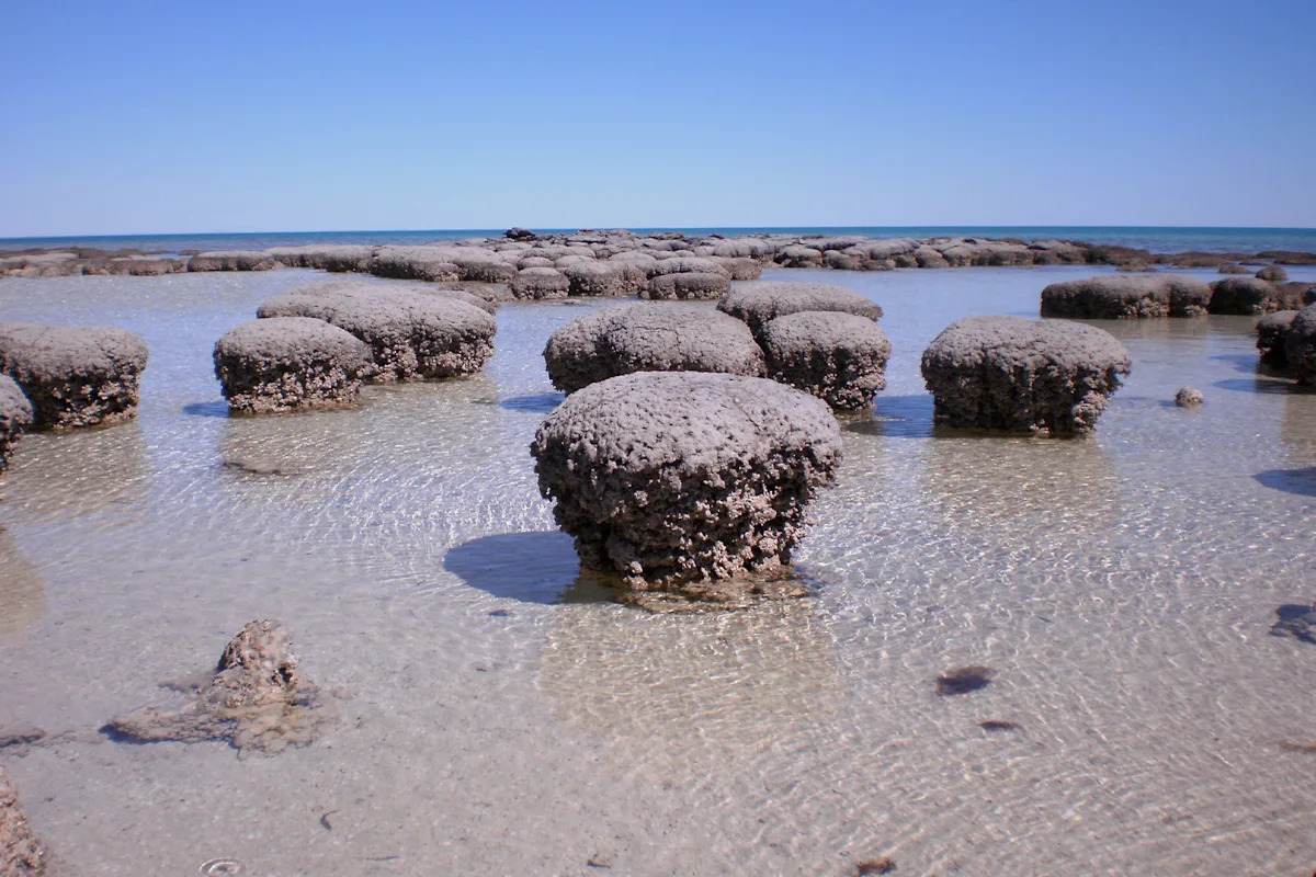 World-first discovery after trip to Aussie coast linked to ancient event: 'Never seen it before'