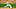 Philadelphia Phillies starting pitcher Zack Wheeler