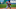 Houston Astros third baseman Isaac Paredes Houston Astros third baseman Isaac Paredes