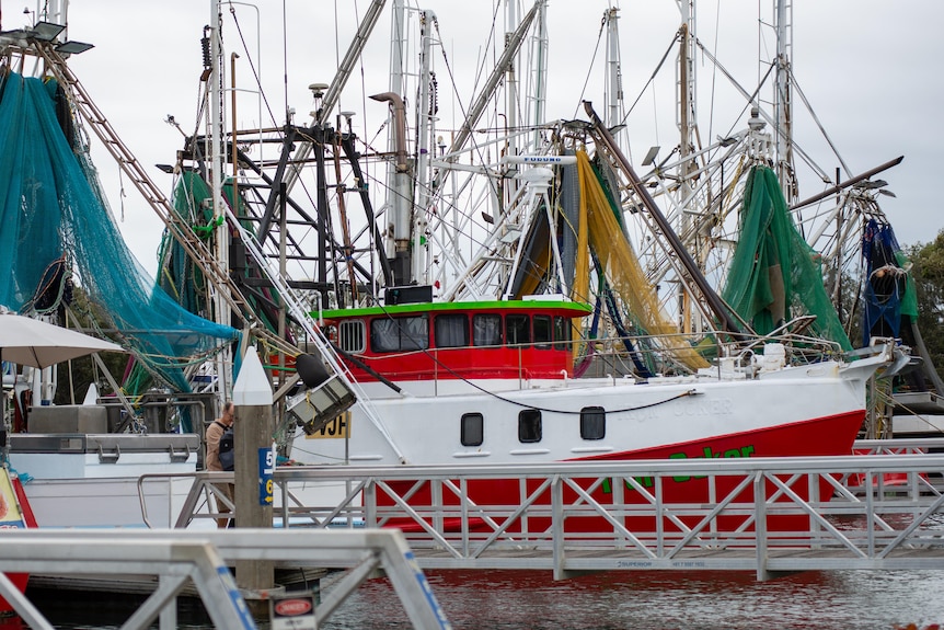 Boats in harbour