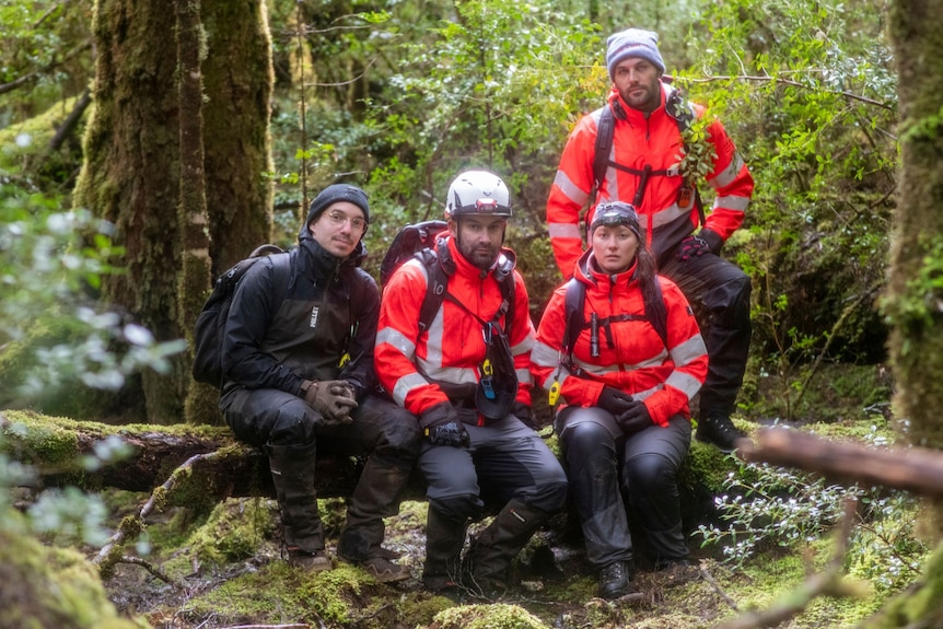 Four people, three men and one woman, all wear hi-visibility orange clothing standing as a group in a dense forest