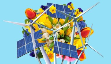 Britain’s grid could run without fossil fuels for first time since 1882