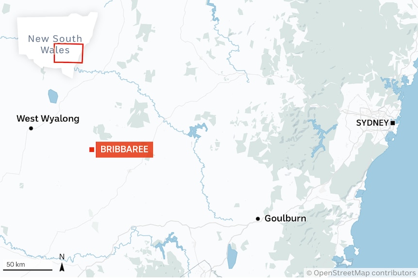 A map showing the location of the small NSW town of Bribbaree.
