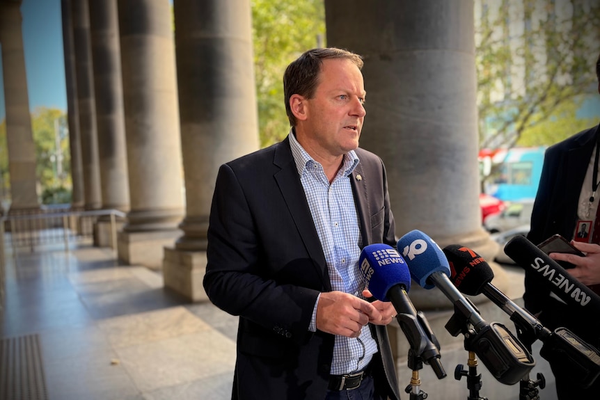 SA Liberal deputy leader MP Josh Teague on the steps of the state parliament building.