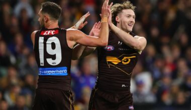 Hawks hand Dogs first defeat, but both sides cop concerning injuries