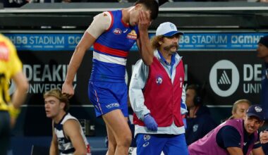 Massive concern after star Dog goes down clutching at knee