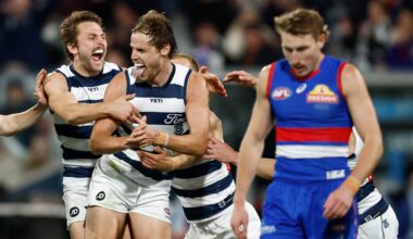 Cats, injuries and Jezza's 10 destroy decimated Dogs