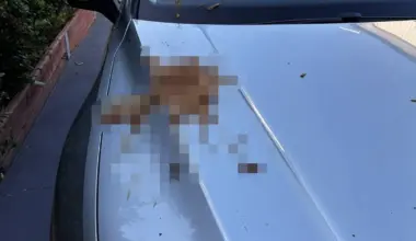 Mum furious after ‘human faeces’ hurled at car while parked up with kids at shopping centre