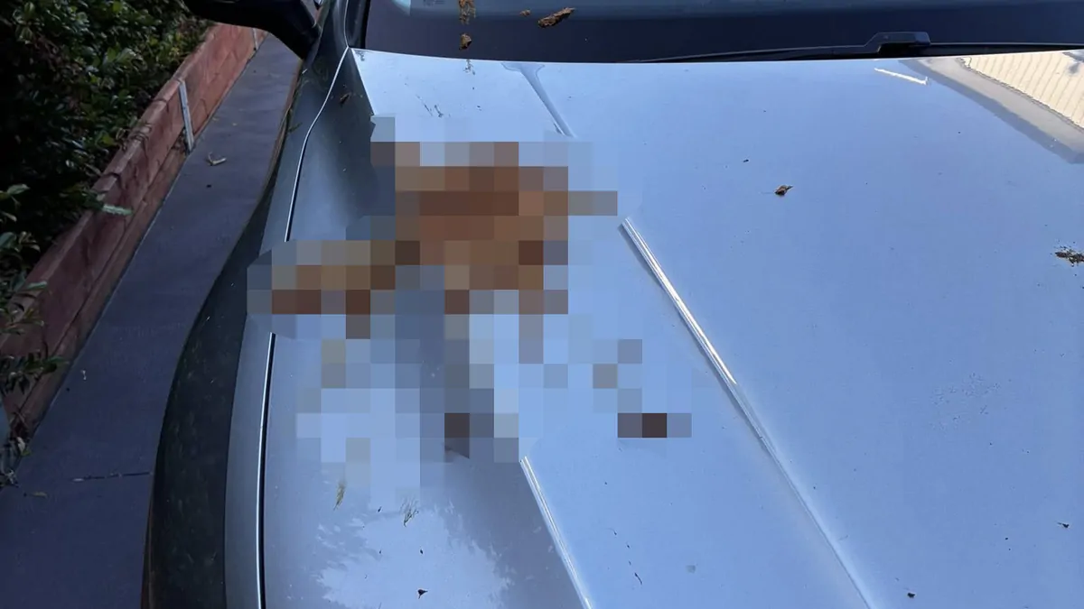 Mum furious after ‘human faeces’ hurled at car while parked up with kids at shopping centre