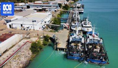 Seafood giant A Raptis and Sons to close after administrators fail to find buyer