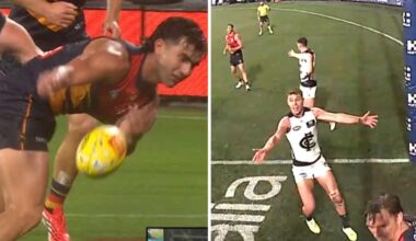 Umpiring controversy in Adelaide Crows vs Carlton Blues, Nick Haynes decision, latest news