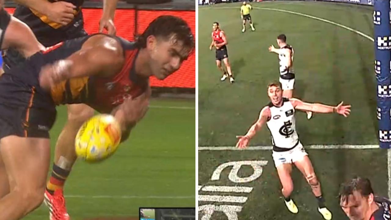 Umpiring controversy in Adelaide Crows vs Carlton Blues, Nick Haynes decision, latest news