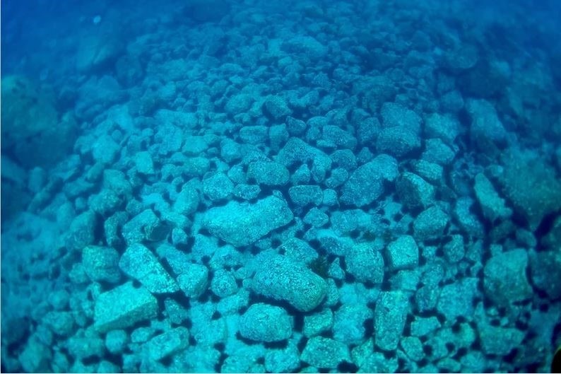 An extensive urchin barren, showing barren boulders and urchins