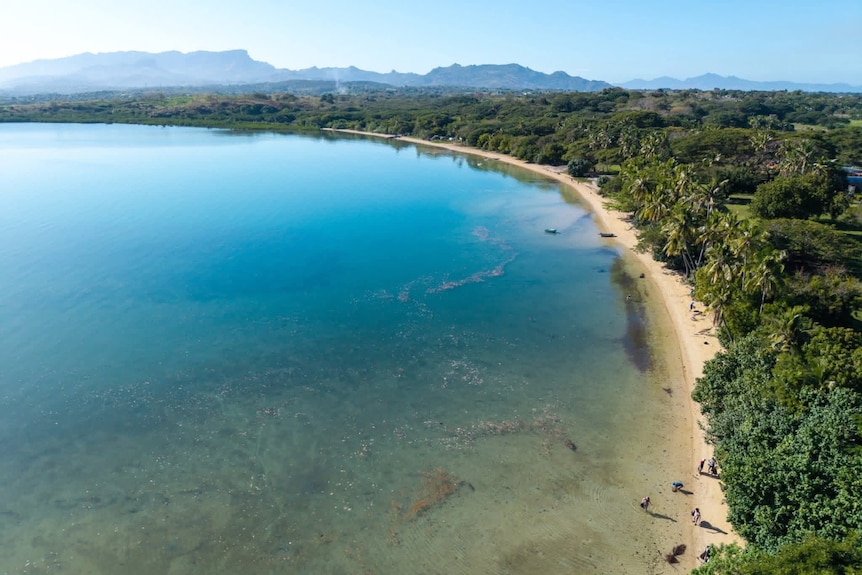 A drone shot shows a sweeping wide bay with crystal blue water lapping a white sandy beach with palm trees along the shoreline