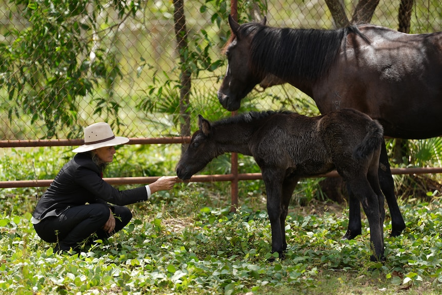 A woman kneeling in a green paddock, stroking the face of a small horse.