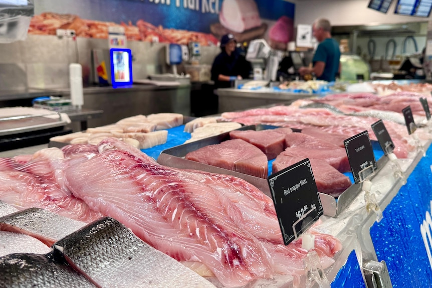 fish on shelves at Mooloolaba fish market