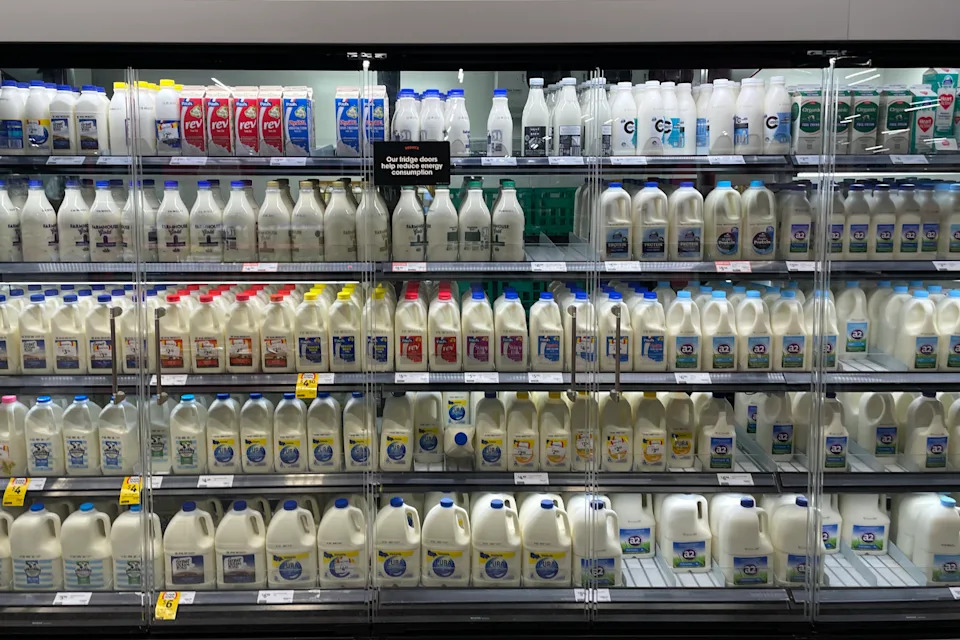 Rows of perfectly placed milk in the fridge.