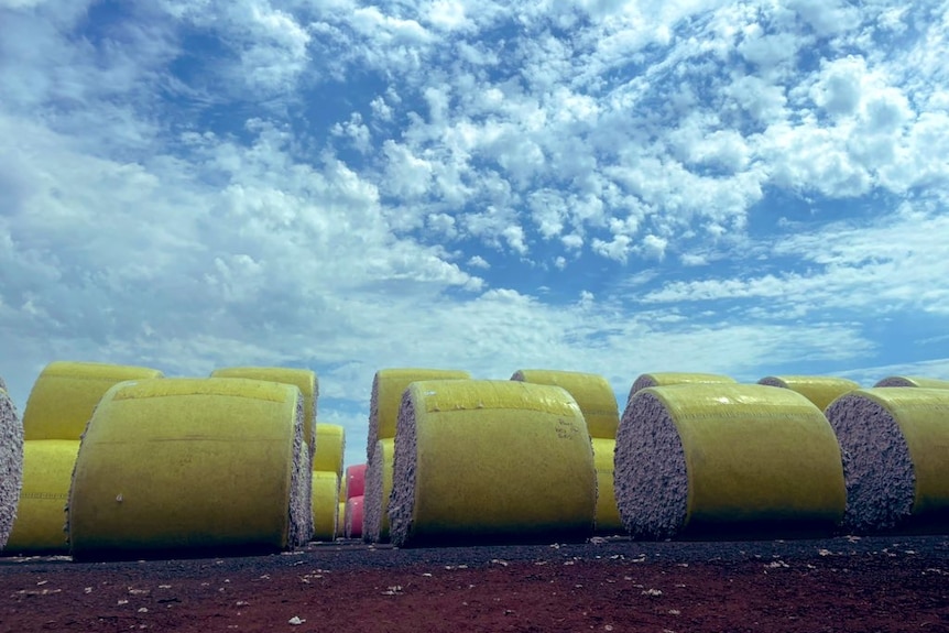 Line of cotton modules
