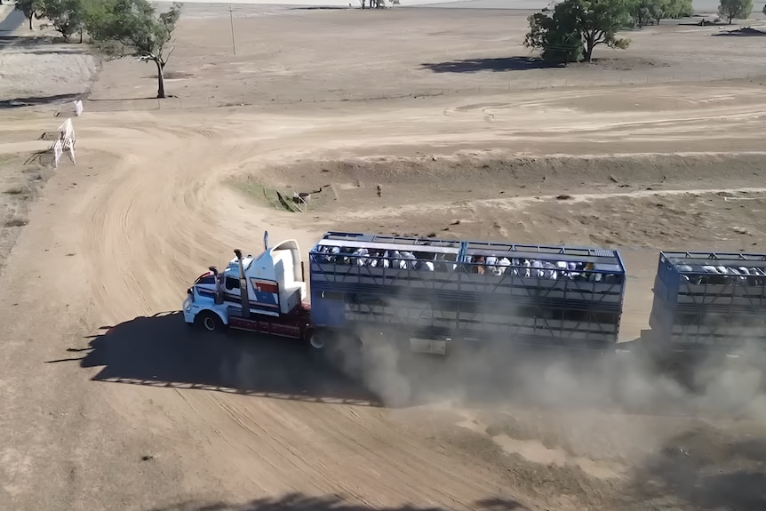 A drone image of a huge cattle truck and trailer on a dusty, dry paddock