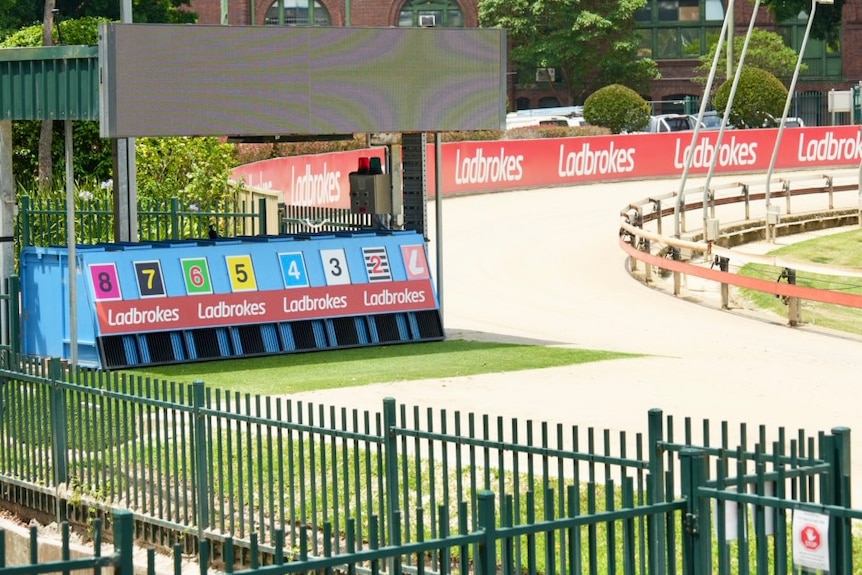 Wentworth Park Greyhound track in Glebe